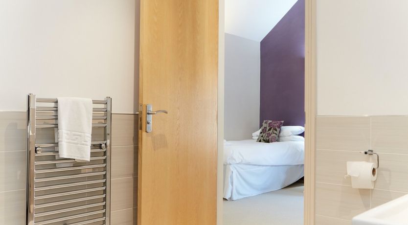 Photo of Sage the Owl