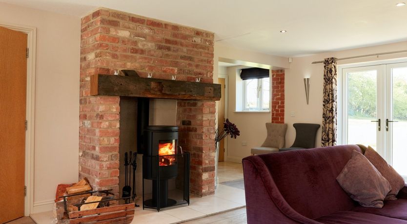 Photo of Sage the Owl