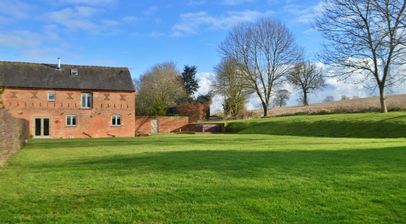 Photo of Sage the Owl