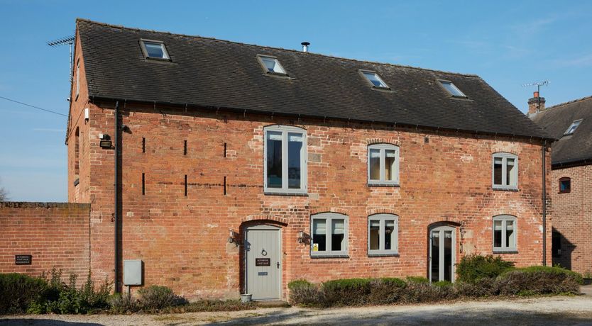 Photo of Sage the Owl