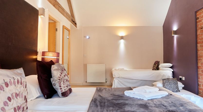 Photo of Sage the Owl