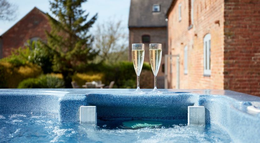 Photo of Sage the Owl