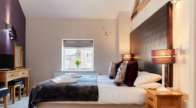 Photo of Sage the Owl