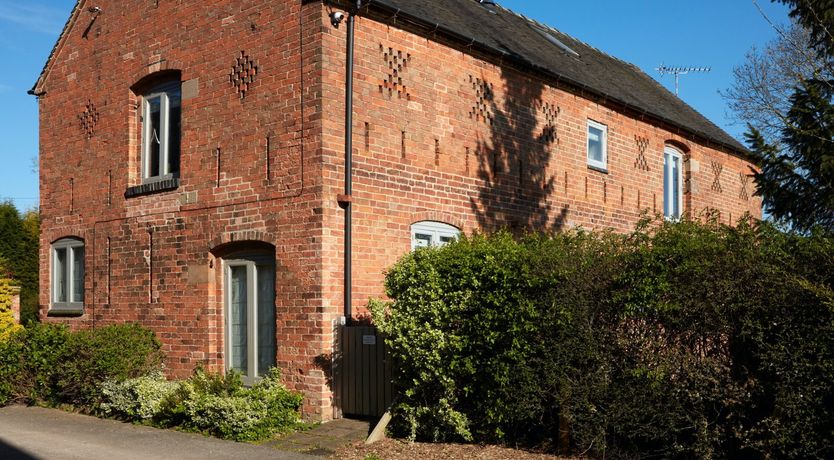 Photo of Sage the Owl