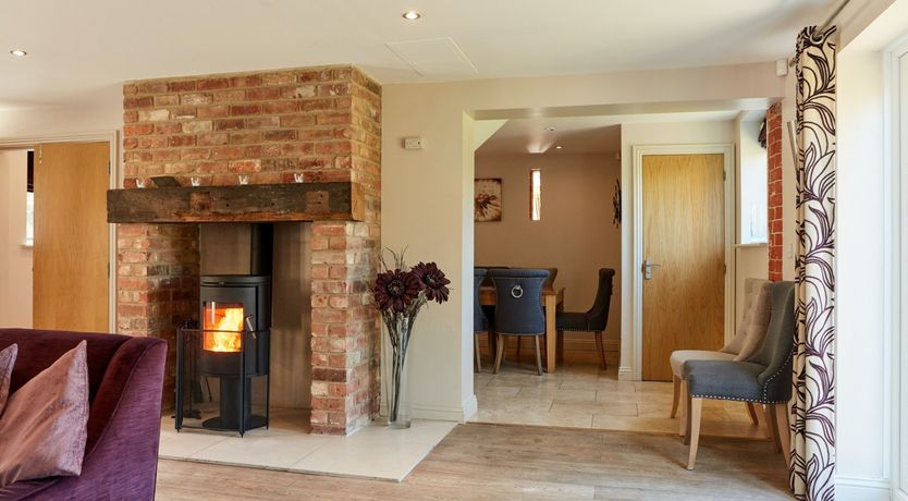 Photo of Sage the Owl