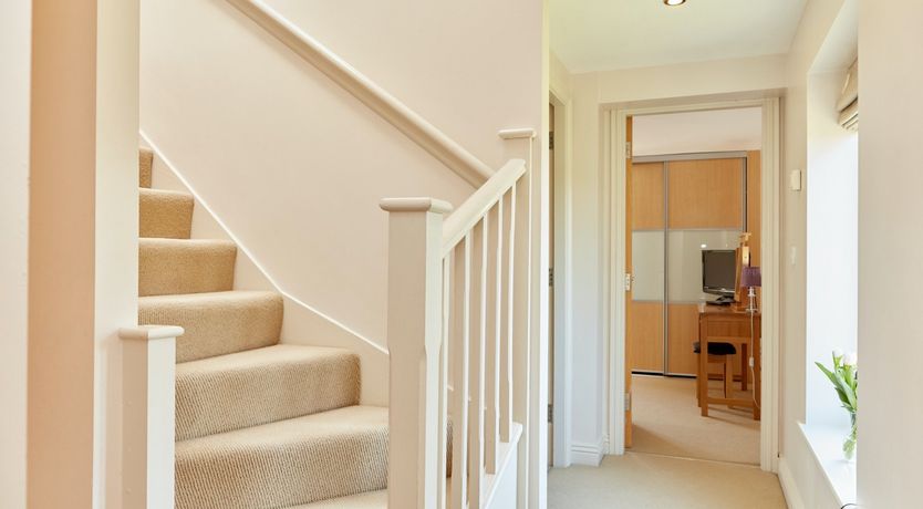 Photo of Sage the Owl