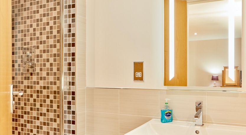 Photo of Sage the Owl