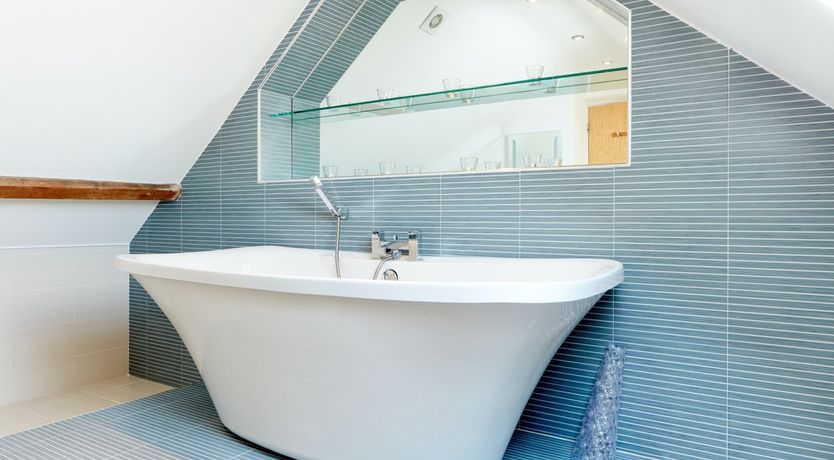 Photo of Sage the Owl