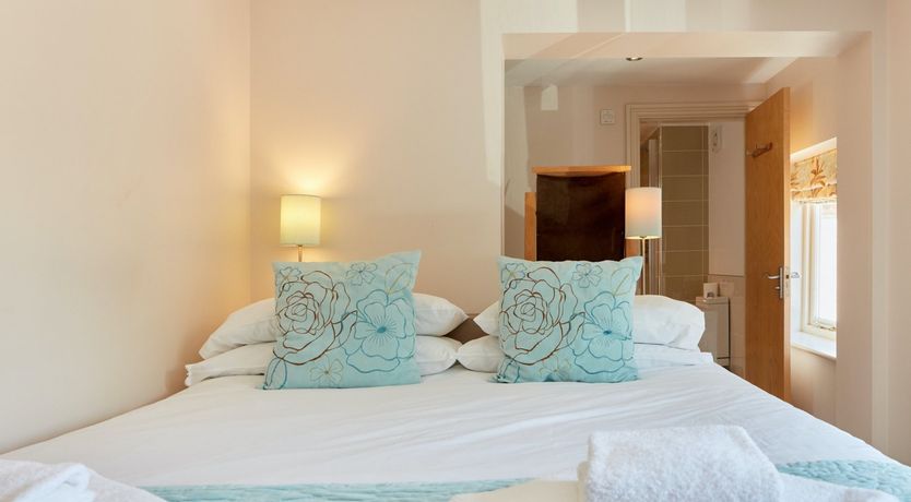 Photo of Sage the Owl