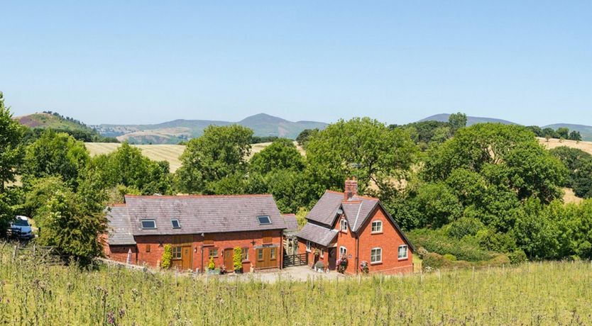 Photo of Happy as a Lark