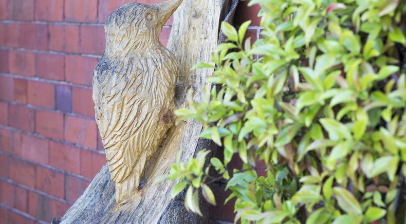 Photo of Happy as a Lark