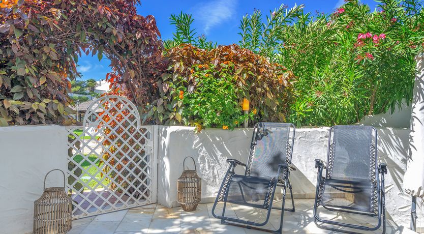 Photo of The Scent of Lemons