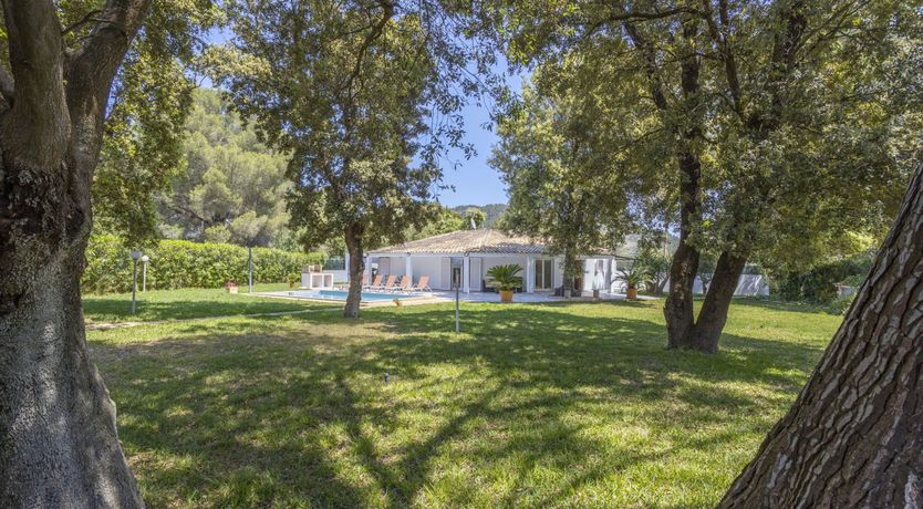 Photo of Sophistication in Simplicity