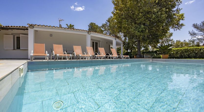 Photo of Sophistication in Simplicity