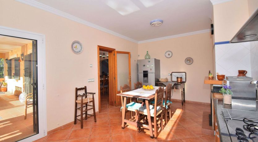 Photo of The Pace of Nature