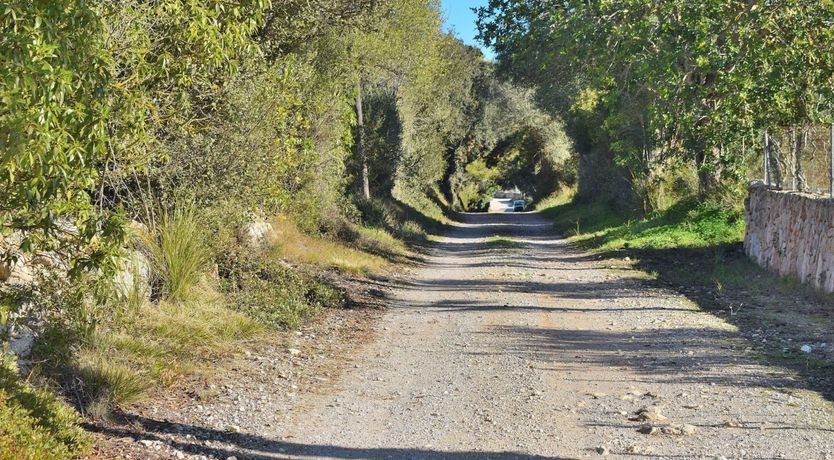 Photo of The Pace of Nature