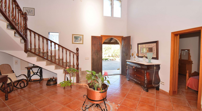 Photo of The Pace of Nature