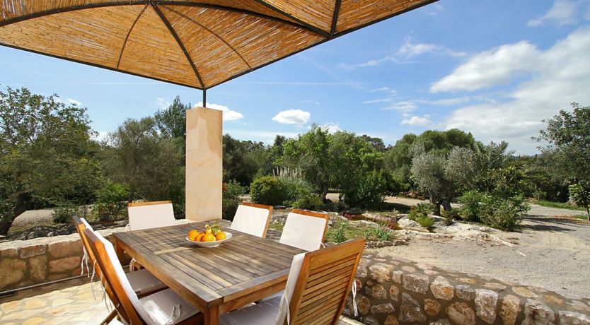 Photo of Dreams in Stone