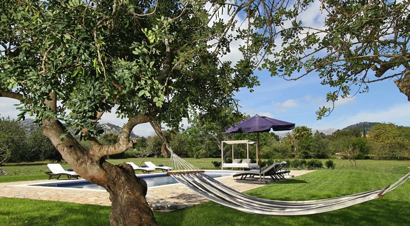 Photo of Dreams in Stone