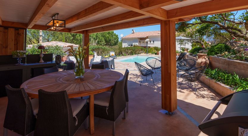 Photo of Nurra's Orchid