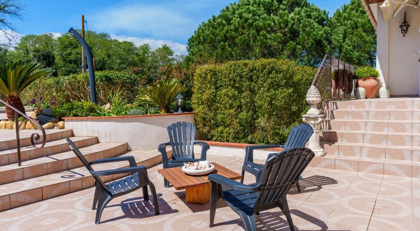 Photo of Nurra's Orchid