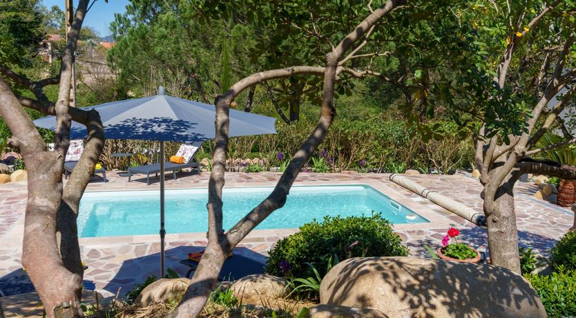 Photo of Nurra's Orchid