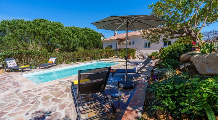 Photo of Nurra's Orchid