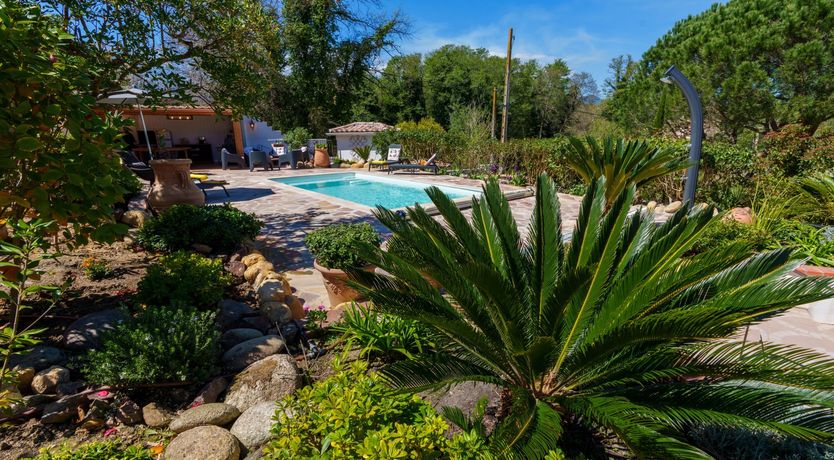 Photo of Nurra's Orchid