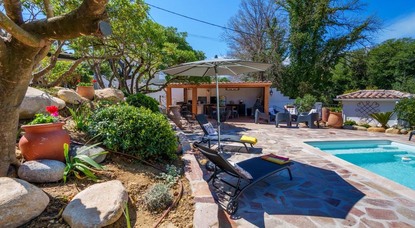 Photo of Nurra's Orchid