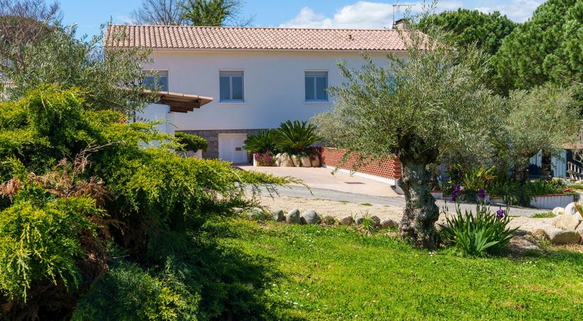 Photo of Nurra's Orchid