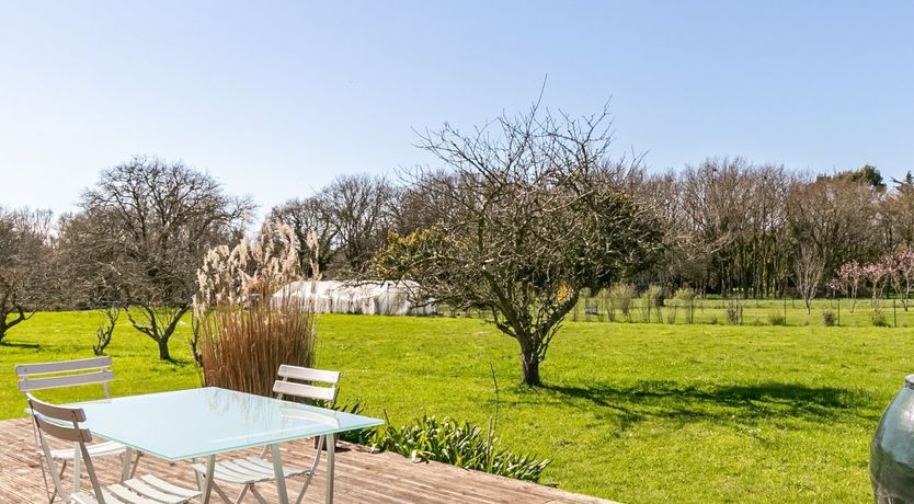 Photo of Behind the Glass