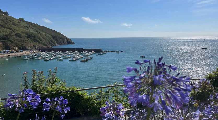 Photo of Tranquil Waters