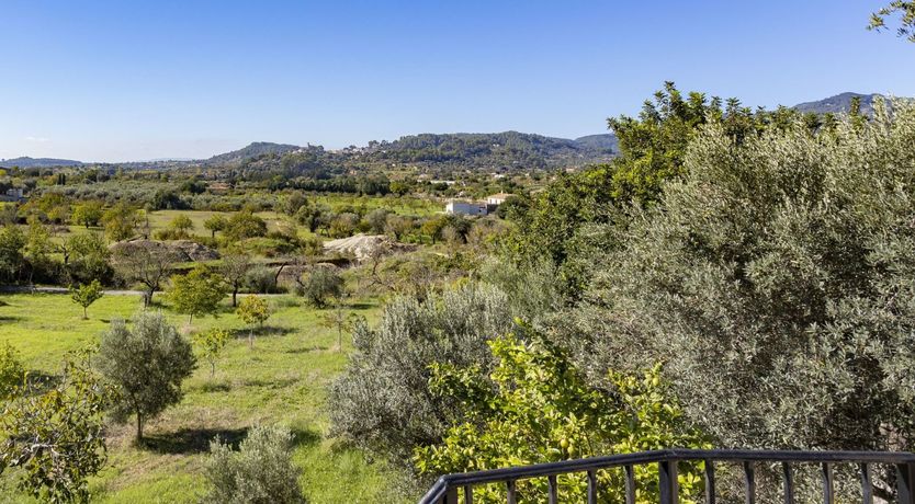 Photo of Olive & Ochre