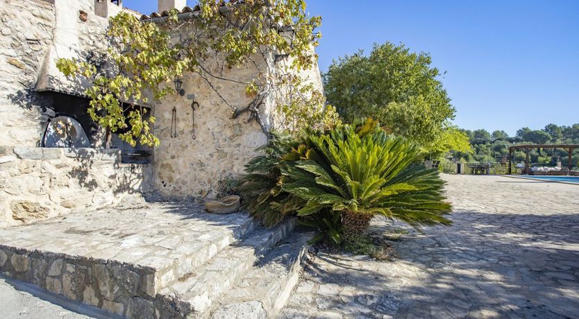 Photo of Olive & Ochre