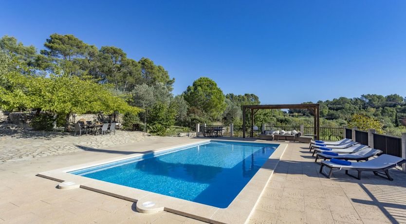 Photo of Olive & Ochre