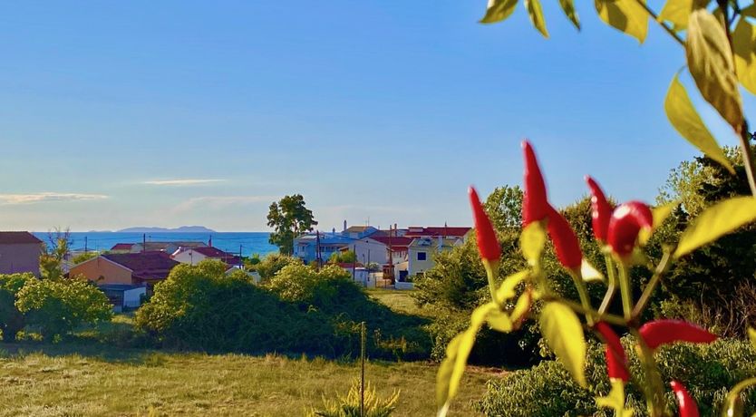 Photo of Happiness Is Homemade