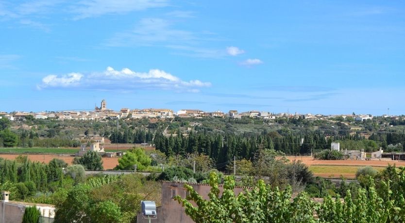 Photo of Poolside Perfection