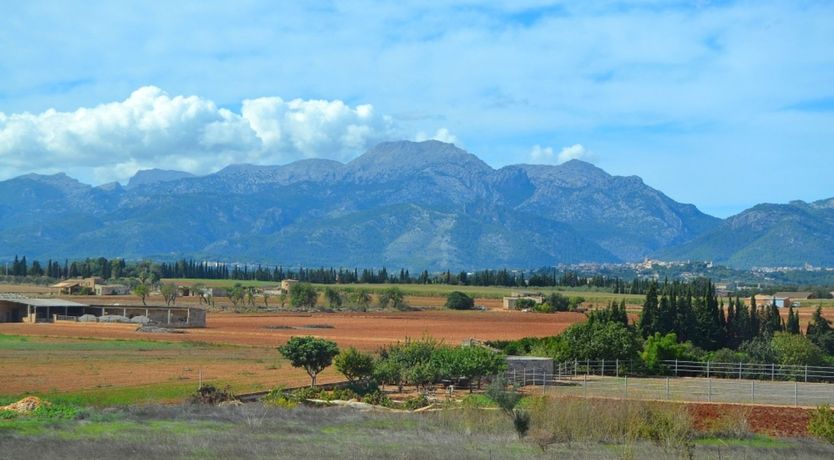 Photo of Poolside Perfection