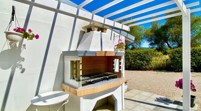 Photo of Rooted in Nature