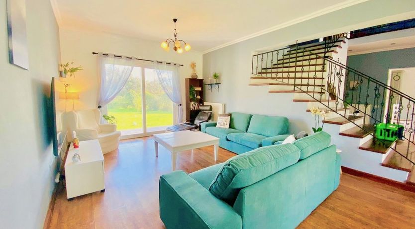 Photo of Rooted in Nature