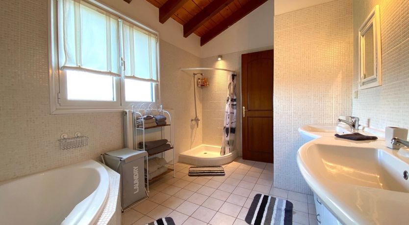 Photo of Rooted in Nature