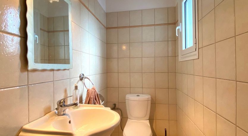 Photo of Rooted in Nature