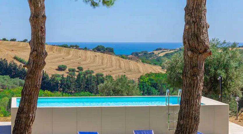 Photo of Fermo Believer