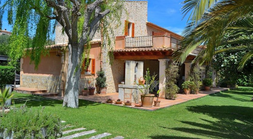 Photo of Palm Tree Sway