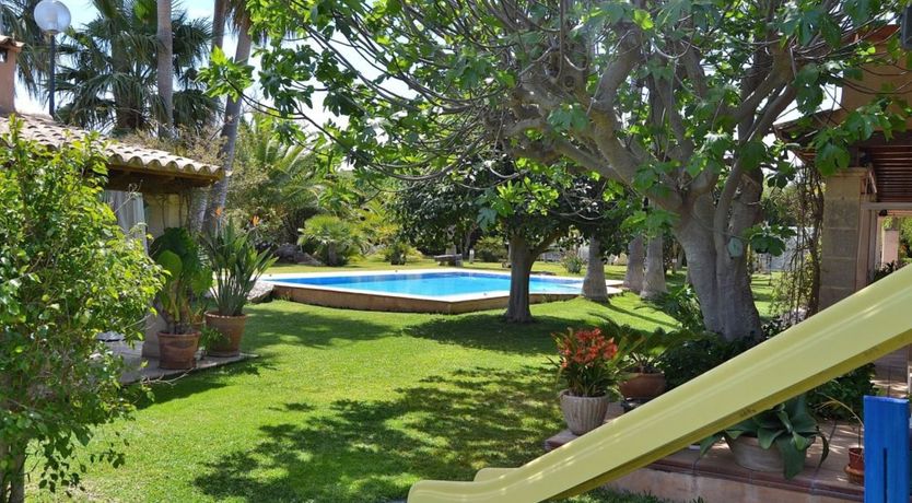 Photo of Palm Tree Sway