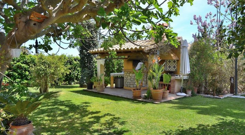 Photo of Palm Tree Sway