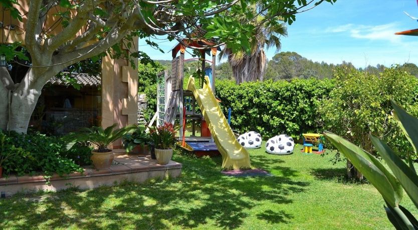 Photo of Palm Tree Sway