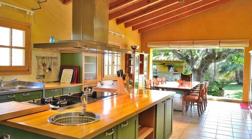 Photo of Palm Tree Sway