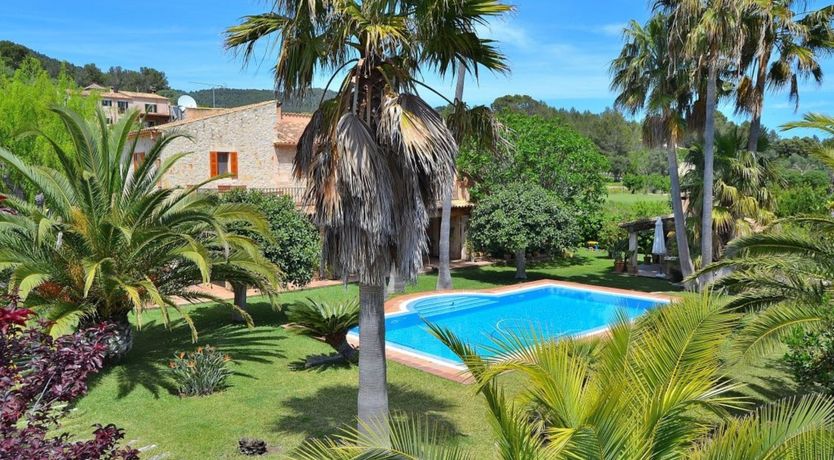 Photo of Palm Tree Sway