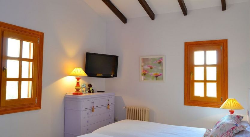 Photo of Palm Tree Sway